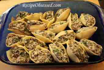 The shell macaroni products stuffed with cheese and spinach